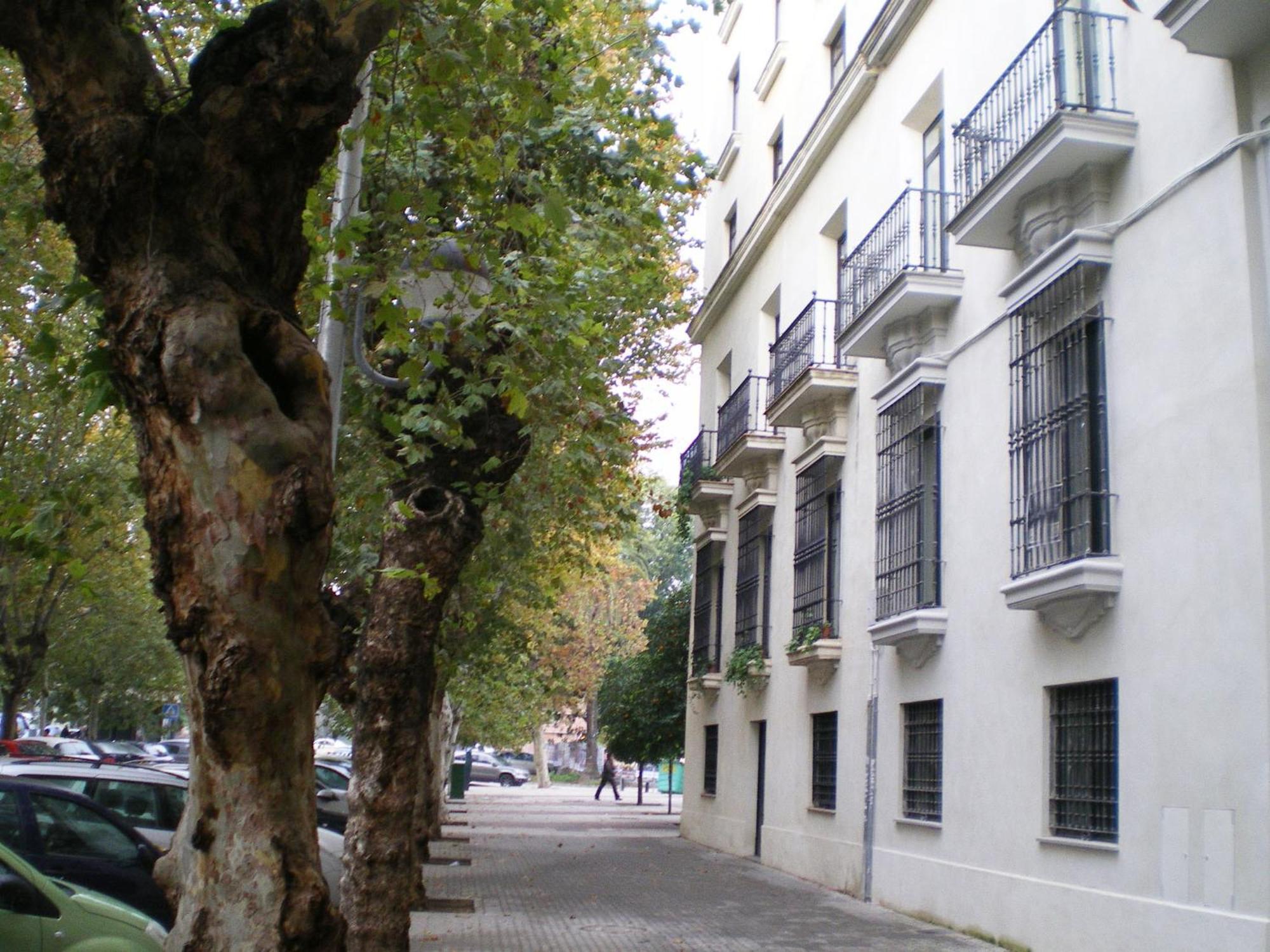 Apartamentos Murallas De Sevilla Buitenkant foto