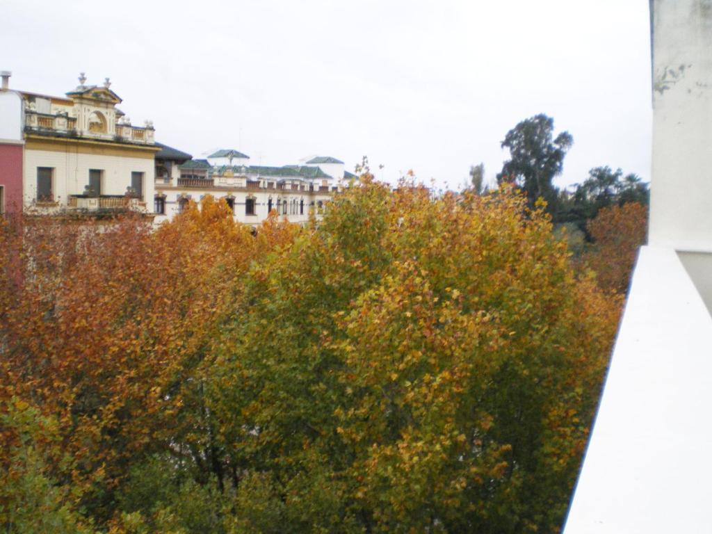 Apartamentos Murallas De Sevilla Buitenkant foto